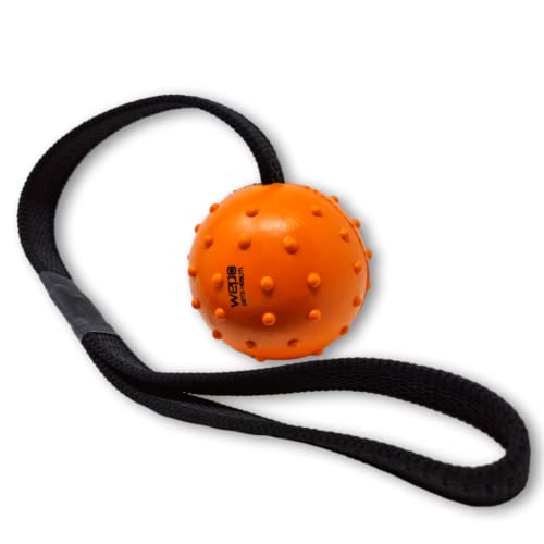 WEPO Ball mit Schnur Orange - Hunde Spielsachen - Wurfspielzeug für Hunde - Dog Toys for Large Dogs - Gummiball Hund zum Schleudern & Werfen im Garten - Mit Zahnpflegefunktion von WEPO