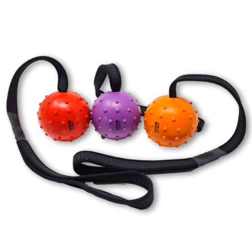 WEPO Wurfball für Hunde 3er Set - dog toys - Hundespielzeug Ball am Seil - dog toys for small dogs - Hund Zubehör für draußen und drinnen - Mit Gumminoppen für Zahnpflege von WEPO