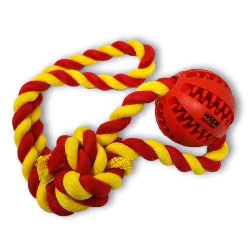WEPO Wurfball für Hunde - Ø 5cm - Kleine Hunde Spielzeug - Dog Toys - Kauspielzeug Hund - Ball mit Seil für Hunde aus Naturkautschuk mit Zahnpflegefunktion - Zum Reißen und Zerren von WEPO