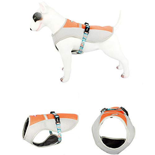 WESEEDOO Hundekleidung Hunde Kühlweste Coole Club Eisweste für Hunde Kühlende Hundeweste Kühlweste für Hunde Medium Coole Mäntel für Hunde Kühlweste Hund orange,XL von WESEEDOO