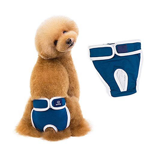 WESEEDOO Hundewindel Läufigkeitshose Für Hündinnen Hundewindeln Hundeunterwäsche Hunde-Damenbinden Physiologische Haustierhosen Windel Hündin Windeln Medium Size Pants Blue,XL von WESEEDOO