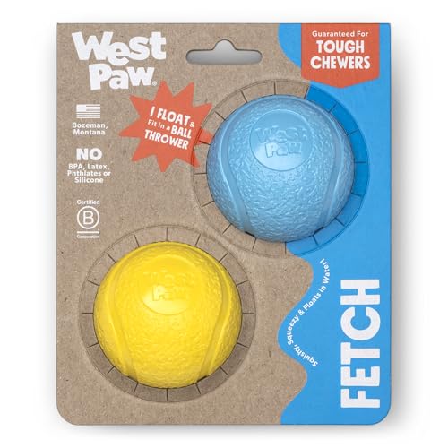 WEST PAW Boundr Ball Hundespielzeug zum Apportieren - Hüpfspielzeug für Hunde, Apportieren, Fangen, Kauen, Spielen - Schwimmbare, recycelbare Bälle - Kleine Aqua Blau/Löwenzahngelb, 2er-Pack von WEST PAW