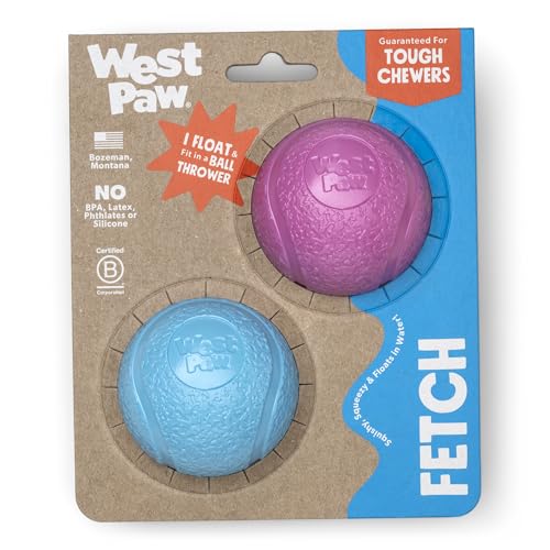 WEST PAW Boundr Ball Hund Apportierspielzeug - Hüpfspielzeug für Hunde, Apportieren, Fangen, Kauen, Spielen - Schwimmbare, recycelbare Bälle - Klein Hot Pink/Aqua Blue 2-Pack von WEST PAW