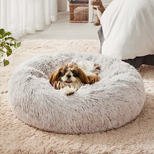 Western Home Hundebett Run, Katzenbett Flauschig, Hundekissen Kleine Hunde,Hundebett Waschbar,Hundekorb,Katzenkorb Zum Schlafen 50 cm,Helles Curry von WESTERN HOME WH