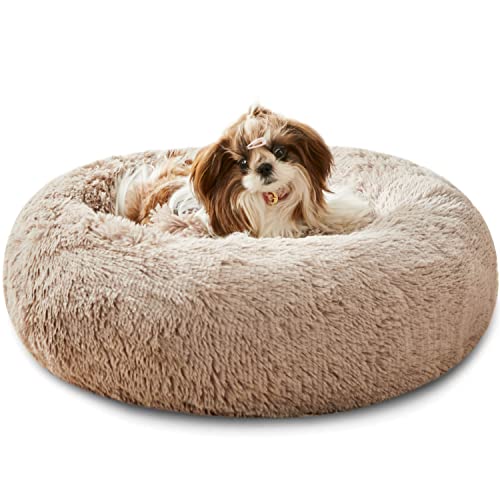 Western Home Hundebett Run, Katzenbett Flauschig, Hundekissen Kleine Hunde,Hundebett Waschbar,Hundekorb,Katzenkorb Zum Schlafen 60 cm,Braun von WESTERN HOME WH