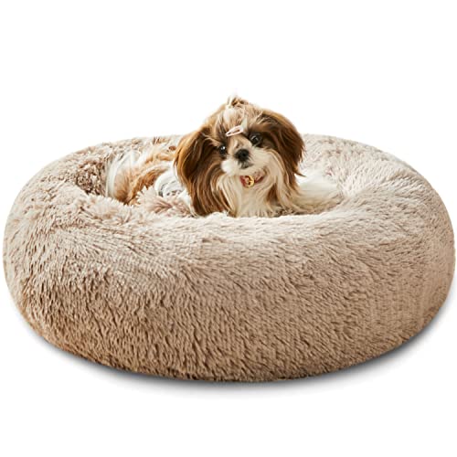 Western Home Hundebett Run, Katzenbett Flauschig, Hundekissen Kleine Hunde,Hundebett Waschbar,Hundekorb,Katzenkorb Zum Schlafen 50 cm,Braun von WESTERN HOME WH