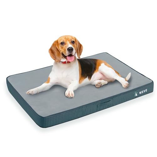 WEVEGO Orthopädisches Hundebett für mittelgroße Hunde, 8,9 cm dicke Gel-Memory-Schaum-Unterstützung mit strapazierfähigem Flanellstoff, abnehmbarer Bezug und wasserdichtem Futter mit rutschfester von WEVEGO