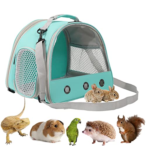 Tragetasche für Bartagamen, Eidechsen, Kleintier-Reisetasche für Igel, Ratten, Papageien, Vogel, Meerschweinchen, tragbare Meerschweinchen-Reisetasche für 2 Personen (grün, Tragetasche) von WEVONIGU