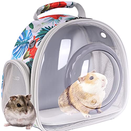 Rucksack mit Meerschweinchen-Motiv, Bärtiger Drache, Rucksack mit transparentem Sichtfenster, kleiner Tier-Reiserucksack für Igel, Ratten, von Fluggesellschaften zugelassen (bedruckt, Rucksack) von WEVONIGU