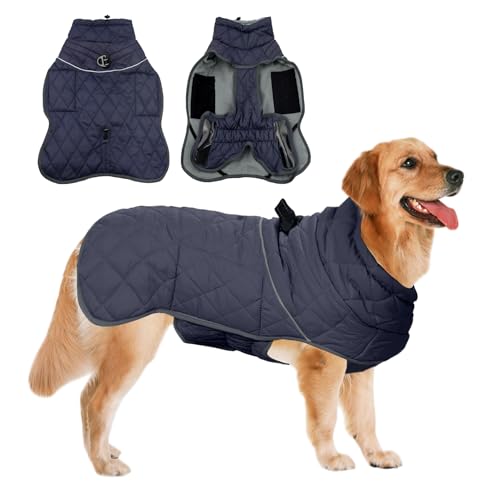 WEXFFU Hunde Wintermantel Wasserdicht - Hundemantel für Kleine Hunde,Hundejacke Kleine Hunde mit D-Ring Reflektor,Hundepullover Mittelgroße Hunde,Fleecejacke Hund für Indoor & Outdoor Camping(M) von WEXFFU