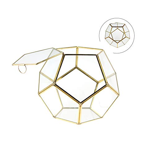 WGV Geometrischer Pflanztopf Terrarium, Breite 22,1 cm Höhe 19,1 cm Klarglas Gold Rahmen DIY Sukkulenten Luftpflanze Miniatur Fee Garten Fensterbank Tischdekoration Globe Geode 1 Stück von WGVI