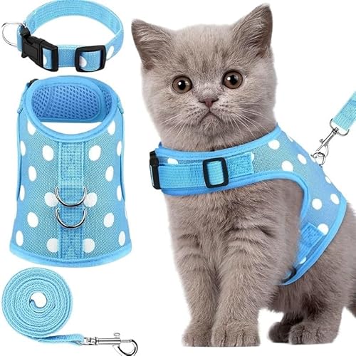 WHB-LOIDBESVE Halsbänder, Leinen und Transportboxen – Sorgen Sie for die Sicherheit Ihrer Katze – das perfekte Zubehör for Spaziergänge und for Spielen!(Dots-Blue,M) von WHB-LOIDBESVE