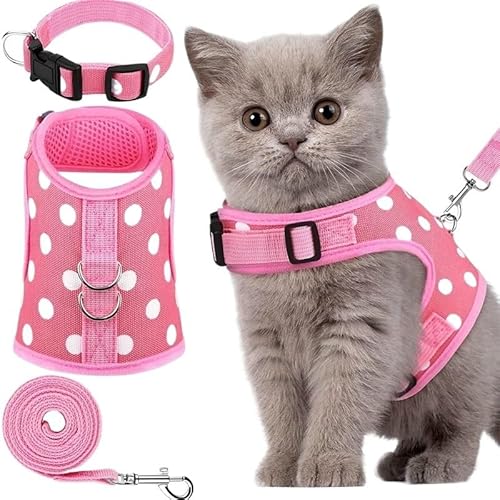 WHB-LOIDBESVE Halsbänder, Leinen und Transportboxen – Sorgen Sie for die Sicherheit Ihrer Katze – das perfekte Zubehör for Spaziergänge und for Spielen!(Dots-Pink,M) von WHB-LOIDBESVE