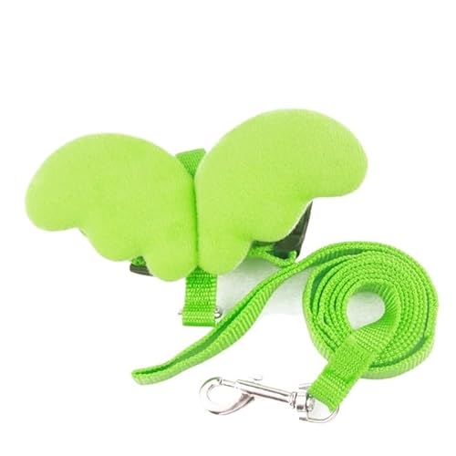 WHB-LOIDBESVE Halsbänder, Leinen und Transportboxen – Sorgen Sie for die Sicherheit Ihrer Katze – das perfekte Zubehör for Spaziergänge und for Spielen!(Green,M 3.5-7kg) von WHB-LOIDBESVE