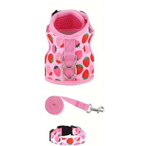 WHB-LOIDBESVE Halsbänder, Leinen und Transportboxen – Sorgen Sie for die Sicherheit Ihrer Katze – das perfekte Zubehör for Spaziergänge und for Spielen!(Strawberry-pink,M) von WHB-LOIDBESVE