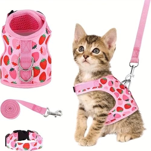 WHB-LOIDBESVE Halsbänder, Leinen und Transportboxen – Sorgen Sie for die Sicherheit Ihrer Katze – das perfekte Zubehör for Spaziergänge und for Spielen!(Strawberry-pink,S) von WHB-LOIDBESVE