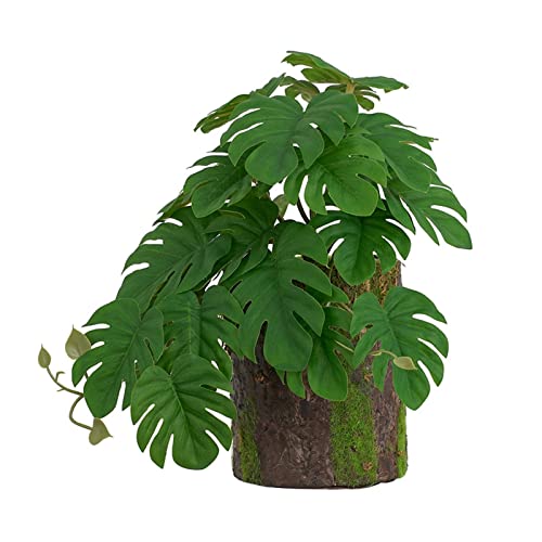 WHFCBJBW Habitat for Decor Habitat Decor Bonsai für Eidechsen Geckos Frosch von WHFCBJBW