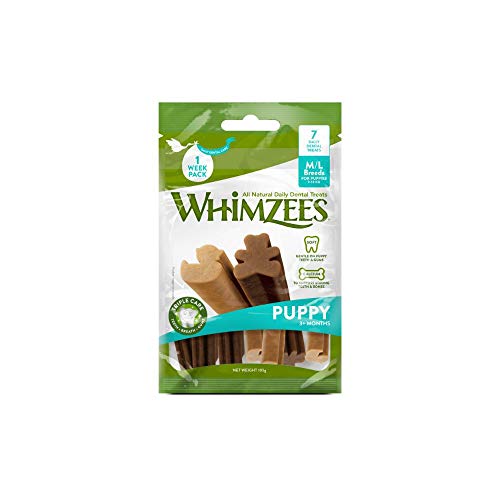 Whimzees Puppy, natürliche getreidefreie Zahnpflegesnacks für Welpen, Kaustangen für Hunde, M/L - 7 Stück, Gemüse, 105 g von WHIMZEES