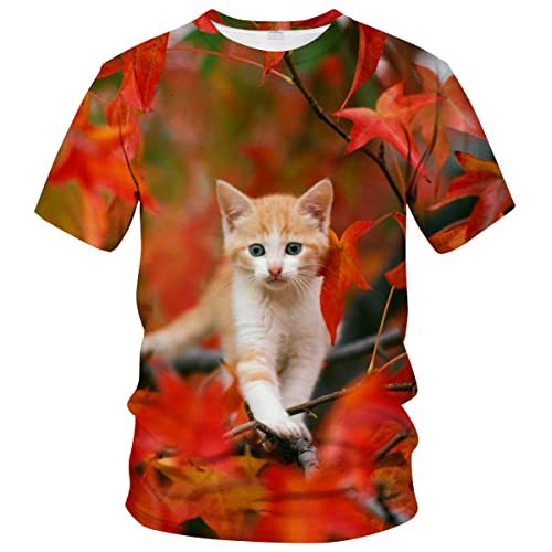 WHNBCW Lustiges süßes Katzen-T-Shirt mit Tiergrafik, Orange/Abendrot im Zickzackmuster (Sunset Chevron), 4X-Large von WHNBCW