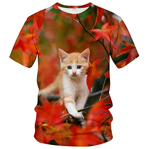 WHNBCW Lustiges süßes Katzen-T-Shirt mit Tiergrafik, Orange/Abendrot im Zickzackmuster (Sunset Chevron), XX-Large von WHNBCW