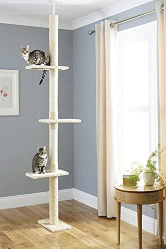 CA&T Luxuriöser Deckenhoher Kletterbaum Katze | Höhenverstellbarer Hoher Kratzbaum | Kratzbaum Deckenhoch mit Kratzsäulen | Katzentürme für drinnen mit Mehreren Ebenen & Deckenspanner Katzenkratzbaum von CA&T