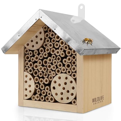 WILDLIFE FRIEND I Bienenhotel mit Metalldach, Wildbienen Insektenhotel - Fertig Montiert aus Kiefernholz & 100% Wetterfest - Unbehandelt, Insektenhotel, Nisthilfe für Wildbienen von WILDLIFE FRIEND