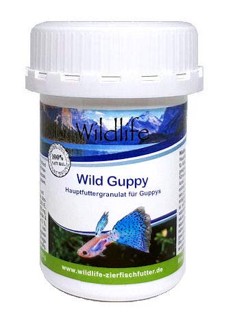 WILDLIFE Wild Guppy Hauptfutter speziell für Guppys, 40 g von WILDLIFE