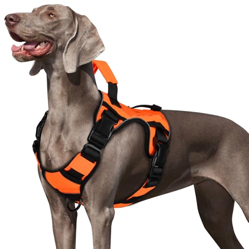 WINGOIN Orange Dog Tactical Harness for Small Dogs No Pull Adjustable Reflective K9 Military Dog Service Dog Harnesses with Griff, Metal Buckles for Dackel, Boston Terrier, Beagle (S) von WINGOIN