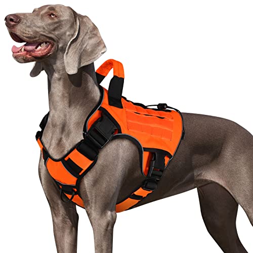 WINGOIN Orange Taktisches Hundegeschirr Weste für kleine Hunde No Pull Verstellbar Reflektierend K9 Militär Hundedienst Hundegeschirr mit Griff für Gehen, Wandern, Training (XL) von WINGOIN