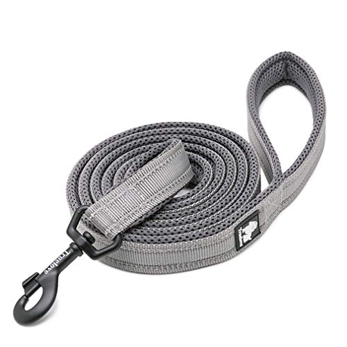 WINHYEPET Dog Leash Nylon Reflective Comfortable Handle Lead Puppy Training Walking Rope Easy Control Suitable Small Medium Large Breeds 110cm Length WHPEU32111 (Gray, L) von WINHYEPET