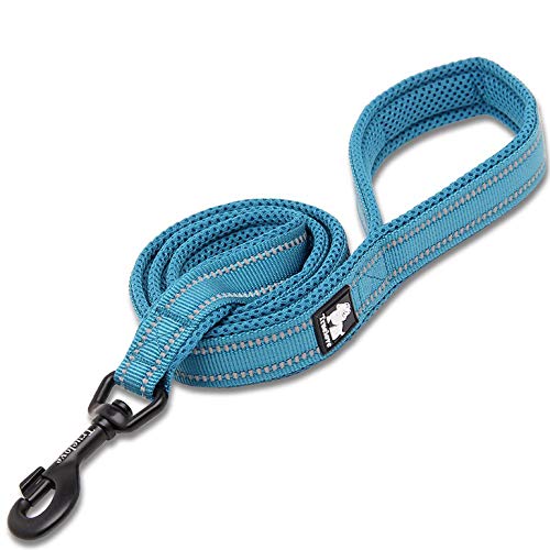 WINHYEPET Dog Leash Nylon Reflective Comfortable Handle Lead Puppy Training Walking Rope Easy Control Suitable Small Medium Large Breeds 110cm Length WHPEU32111 von WINHYEPET