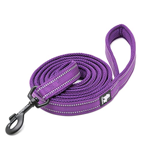 WINHYEPET Dog Leash for Reflective Puppy Walking Training Length 200 cm WHPEU32111 (200) von WINHYEPET