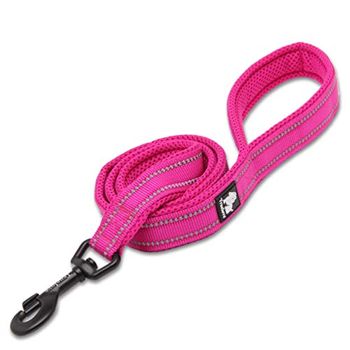 WINHYEPET Dog Leash for Reflective Puppy Walking Training Length 200 cm WHPEU32111 (200) von WINHYEPET