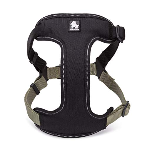 WINHYEPET Hundegeschirr Reflektierende Pet Adjustbale Gepolsterte Soft Mesh Hunde Weste Einfache Steuerung für Kleine Mittelgroße Haustiere WHP15951 5 Farben … WINHYEPET Hundegeschirr Reflektierende Pet Adjustbale Gepolsterte Soft Mesh Hunde Weste Einfache Steuerung für Kleine Mittelgroße Haustiere WHP15951 5 Farben … von WINHYEPET