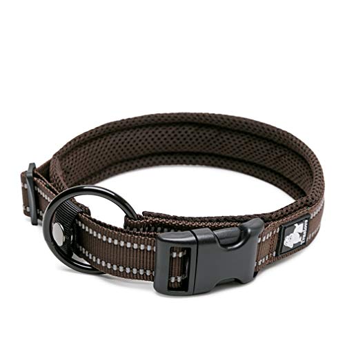 WINHYEPET True Love Hundehalsband Reflektierendes Sandwichfutter NylonWebbing Bequeme und sichere verstellbare Schnalle Praktisch für Outdoor-Sportarten für kleine/mittlere/große Halsringe TLC5011 von WINHYEPET