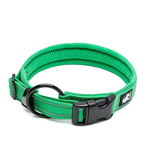 WINHYEPET True Love Hundehalsband Reflektierendes Sandwichfutter NylonWebbing Bequeme und sichere verstellbare Schnalle Praktisch für Outdoor-Sportarten für kleine/mittlere/große Halsringe TLC5011 von WINHYEPET