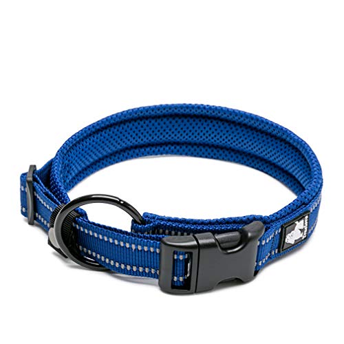 WINHYEPET True Love Hundehalsband Reflektierendes Sandwichfutter NylonWebbing Bequeme und sichere verstellbare Schnalle Praktisch für Outdoor-Sportarten für kleine/mittlere/große Halsringe TLC5011 von WINHYEPET