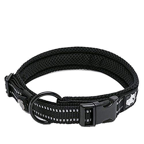 WINHYEPET True Love Hundehalsband Reflektierendes Sandwichfutter NylonWebbing Bequeme und sichere verstellbare Schnalle Praktisch für Outdoor-Sportarten für kleine/mittlere/große Halsringe TLC5011 WINHYEPET True Love Hundehalsband Reflektierendes Sandwichfutter NylonWebbing Bequeme und sichere verstellbare Schnalle Praktisch für Outdoor-Sportarten für kleine/mittlere/große Halsringe TLC5011 von WINHYEPET