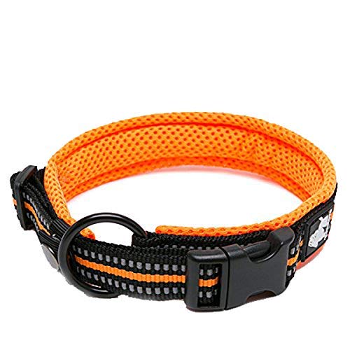 WINHYEPET True Love Hundehalsband Reflektierendes Sandwichfutter NylonWebbing Bequeme und sichere verstellbare Schnalle Praktisch für Outdoor-Sportarten für kleine/mittlere/große Halsringe TLC5011 von WINHYEPET