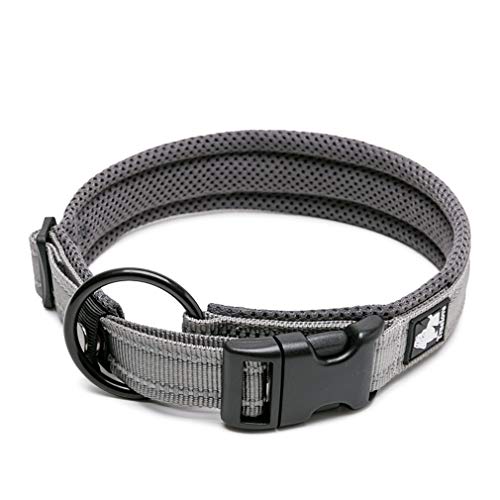 WINHYEPET True Love Hundehalsband Reflektierendes Sandwichfutter NylonWebbing Bequeme und sichere verstellbare Schnalle Praktisch für Outdoor-Sportarten für kleine/mittlere/große Halsringe TLC5011 WINHYEPET True Love Hundehalsband Reflektierendes Sandwichfutter NylonWebbing Bequeme und sichere verstellbare Schnalle Praktisch für Outdoor-Sportarten für kleine/mittlere/große Halsringe TLC5011 von WINHYEPET