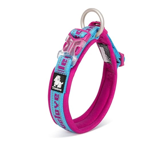 WINHYEPET True Love reflektierendes Hundehalsband, Nylon-Gurtband, bequem und sicher, verstellbare Schnalle, bequem zum Spazierengehen für kleine Hunde, Halsring TLC50121 (Himmelblau/Fuchsia, M) von WINHYEPET