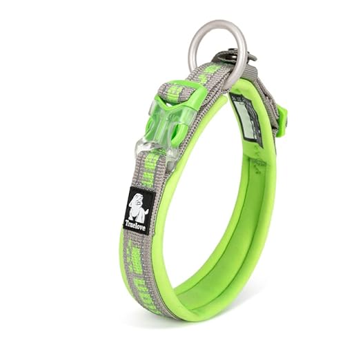 WINHYEPET True Love reflektierendes Hundehalsband, Nylon-Gurtband, bequem und sicher, verstellbare Schnalle, bequem zum Spazierengehen für kleine Hunde, Halsring TLC50121 (grau/grasgrün, M) von WINHYEPET