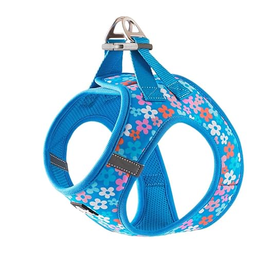 WINHYEPET Truelove Hundegeschirr, weiches Air-Mesh, verstellbar, reflektierend, Haustierweste, kleine und mittelgroße Rassen, kein Ziehen, verstellbares Hundegeschirr TLH3016 (Malibu Blau, Größe 3XS) von WINHYEPET