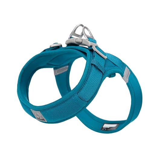 WINHYEPET Truelove Hundegeschirr weiches Mesh reflektierend atmungsaktiv Schritt-in Hundegeschirr, Easy Walk Geschirr, Weste Geschirr TLH3013 WINHYEPET Truelove Hundegeschirr weiches Mesh reflektierend atmungsaktiv Schritt-in Hundegeschirr, Easy Walk Geschirr, Weste Geschirr TLH3013 von WINHYEPET
