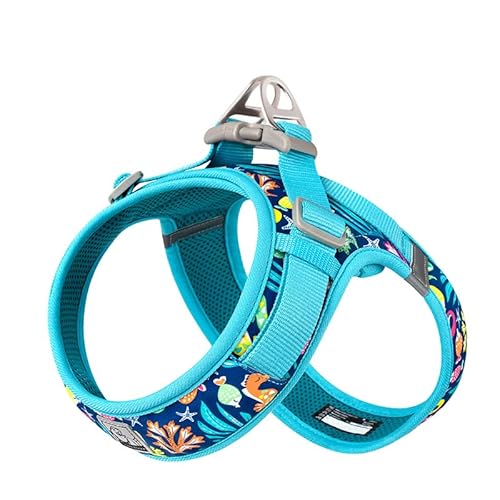 WINHYEPET Truelove Geschirr aus weichem Netzgewebe für Hunde, reflektierend und atmungsaktiv, mit einfacher Bedienung und Sicherheitsschnalle für kleine TLH30131 WINHYEPET Truelove Geschirr aus weichem Netzgewebe für Hunde, reflektierend und atmungsaktiv, mit einfacher Bedienung und Sicherheitsschnalle für kleine TLH30131 von WINHYEPET