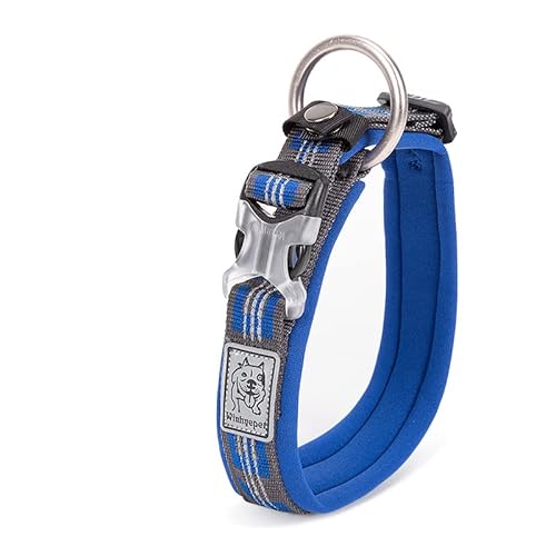 WINHYEPET YC1854 Hundehalsband, Neopren, gepolstert, 3M, reflektierend, für große und mittelgroße Hunde, Größe M, Königsblau von WINHYEPET