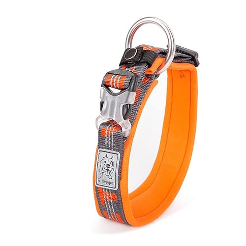 WINHYEPET YC1854 Hundehalsband, Neopren, gepolstert, 3M, reflektierend, für große und mittelgroße Hunde, Orange, XS von WINHYEPET