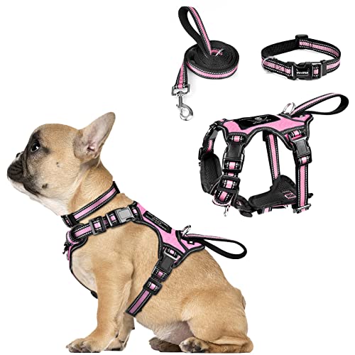 WINSEE Haustiergeschirr Halsband und Leine, All-in-One Reflektierendes Hundegeschirr Kein Ziehen mit verstellbaren Schnallen für Welpen, kleine, mittlere, große und extra große Hunde (klein, rosa) von WINSEE