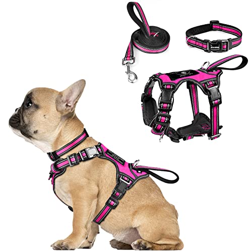 WINSEE Haustiergeschirr Halsband und Leine Set, All-in-One Reflektierendes Hundegeschirr, kein Ziehen, mit verstellbaren Schnallen für Welpen, kleine, große und extra große Hunde (klein, rosa) von WINSEE