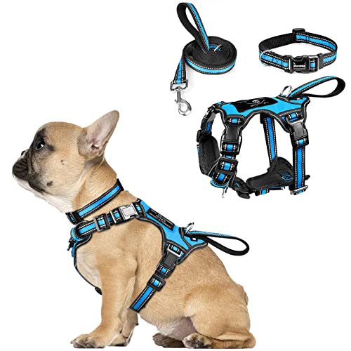 WINSEE Pet Harness Collar and Leash Set, All-in-One Reflective Dog Harness No Pull with Adjustable Buckles for Puppy Small, Medium, Large and Extra Large Dogs (Small, Blue) von WINSEE